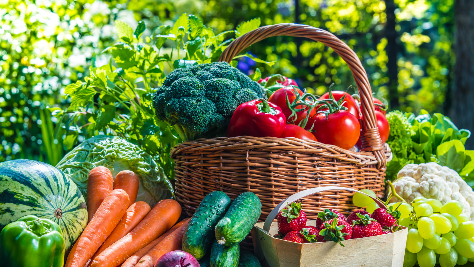 Garden Harvest